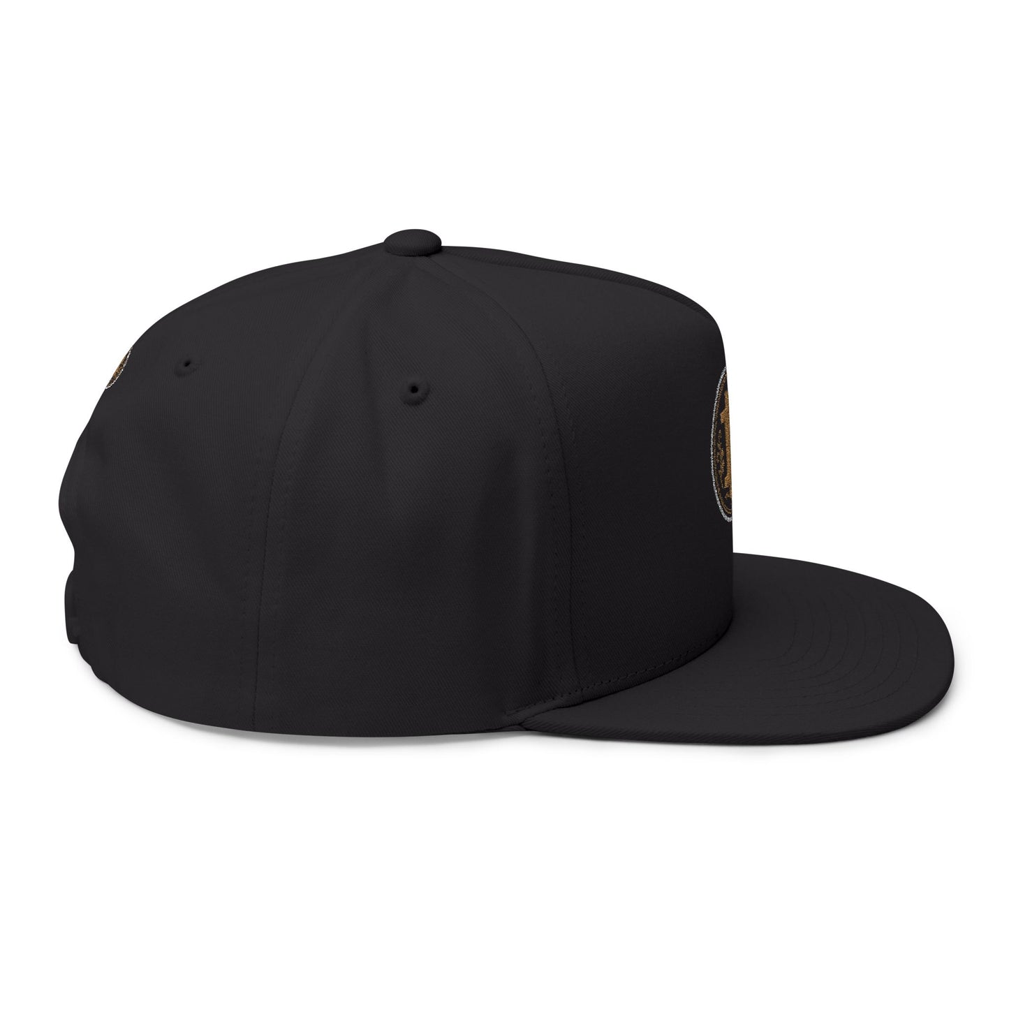 Bitcoin Embroidered Flat Bill Cap