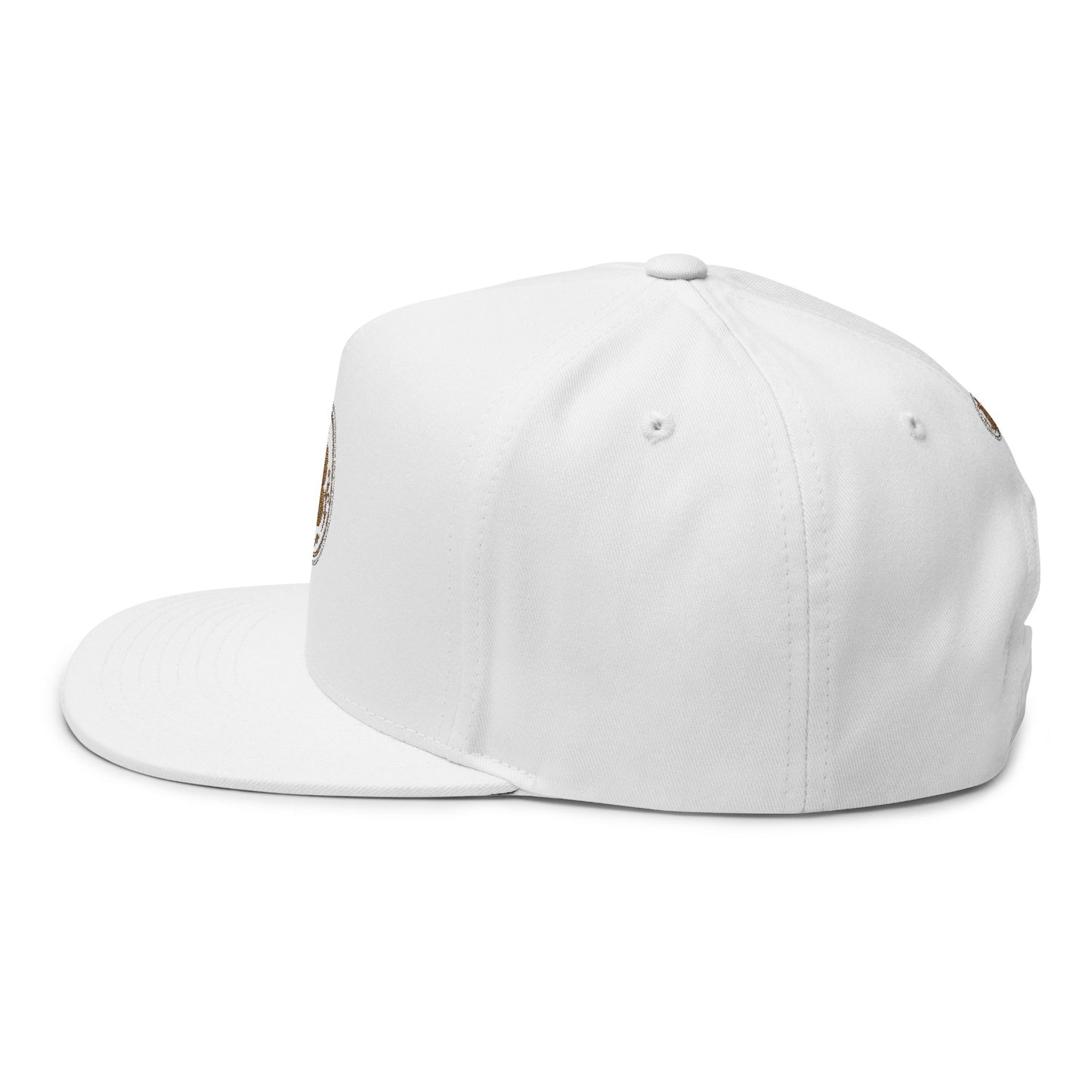 Bitcoin Embroidered Flat Bill Cap