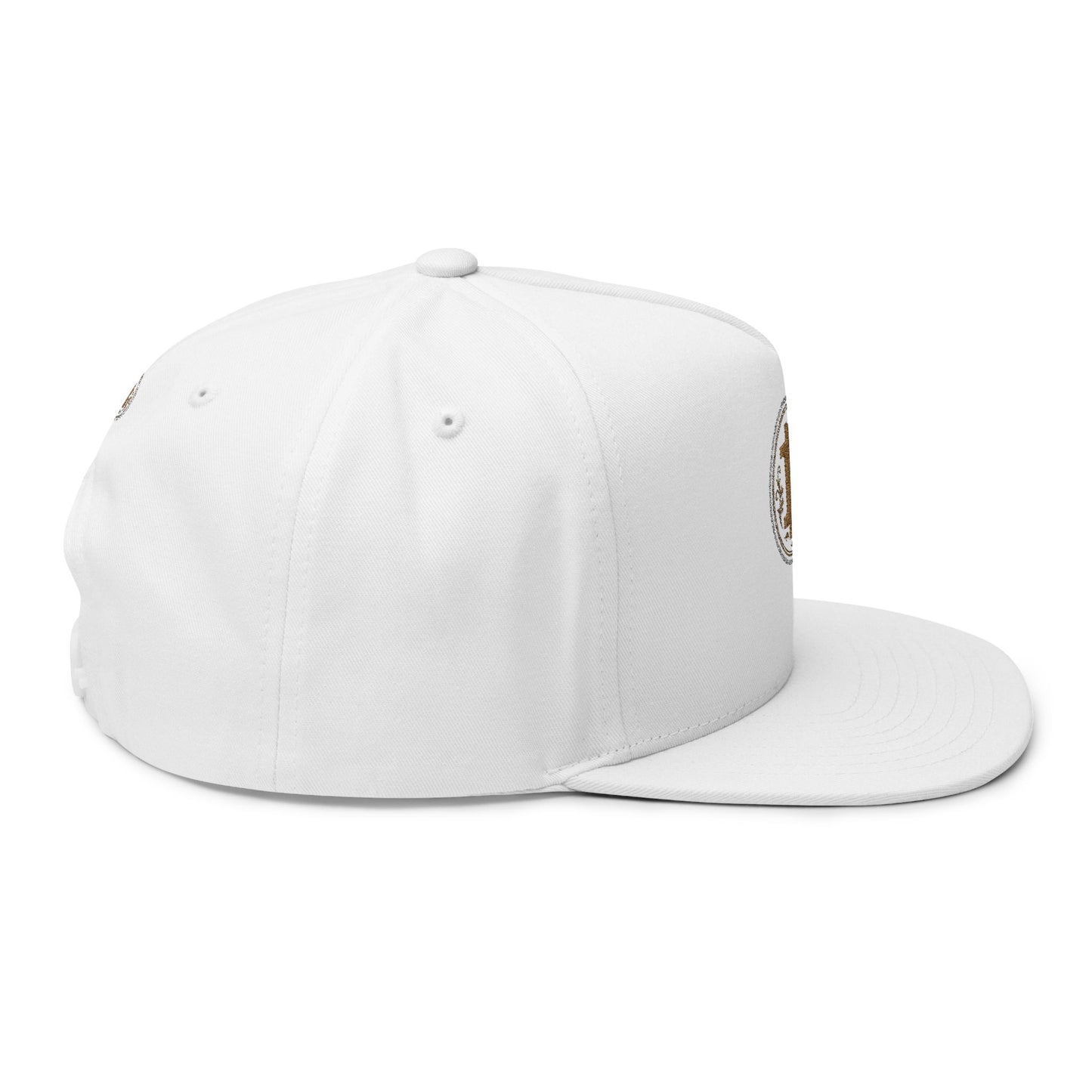 Bitcoin Embroidered Flat Bill Cap