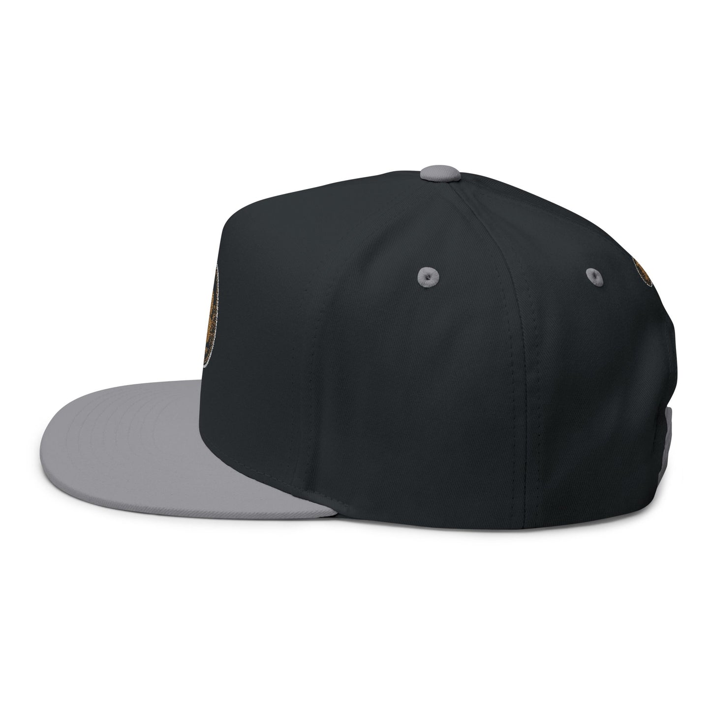 Bitcoin Embroidered Flat Bill Cap