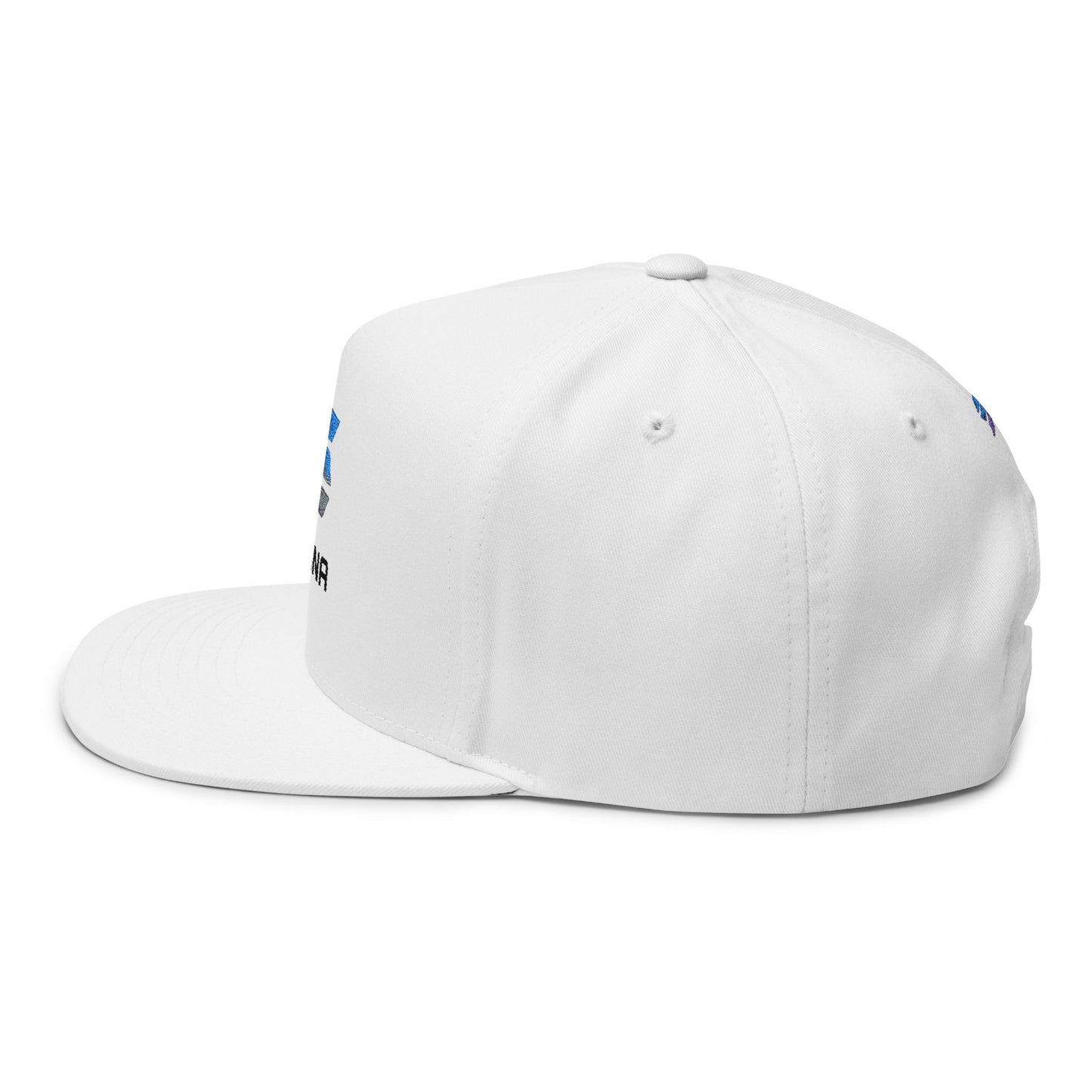 Solana Stylish Flat Bill Cap with Embroidery for Trendsetters, Unique Gift, Streetwear Accessory, Fashion Statement, Cool Headwear