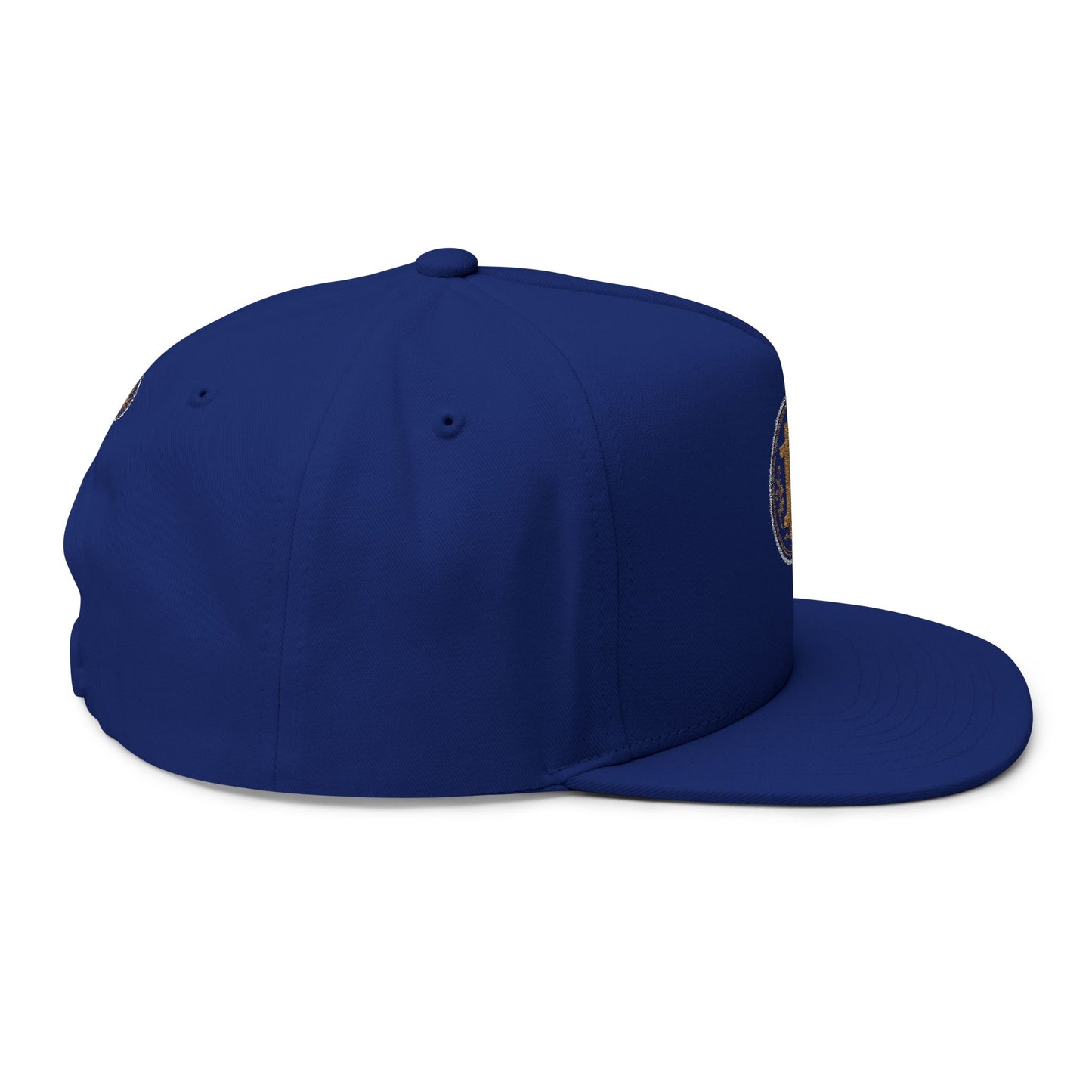 Bitcoin Embroidered Flat Bill Cap